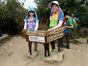P3050070.JPG (457068 bytes)
