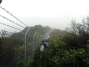 P3190008.JPG (358207 bytes)