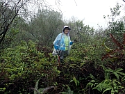 P3190011.JPG (482715 bytes)