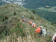 P3260073.JPG (499896 bytes)