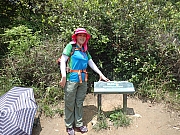 P4160065.JPG (617588 bytes)