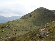 P4160102.JPG (343359 bytes)