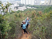 P4230004.JPG (589770 bytes)