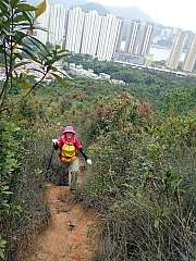 P4230008.JPG (564009 bytes)