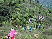 P4230017.JPG (564367 bytes)