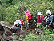 P4230043.JPG (594643 bytes)