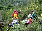 P4230045.JPG (507477 bytes)