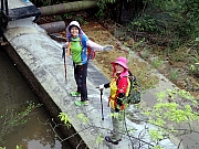 P4230047.JPG (407488 bytes)