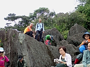 P4230105.JPG (524209 bytes)