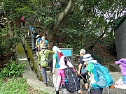 P5070002.JPG (579500 bytes)