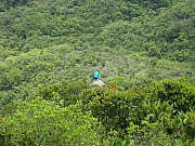 P5070062.JPG (514641 bytes)