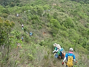 P5070063.JPG (561130 bytes)