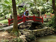 P5070072.JPG (558783 bytes)