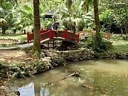 P5070073.JPG (528878 bytes)