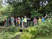 P5070075.JPG (648821 bytes)