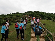 P5210033.JPG (340501 bytes)