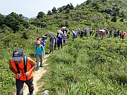 P5280016.JPG (653388 bytes)