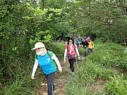 P6040009.JPG (581255 bytes)