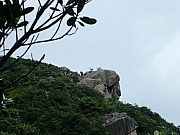 P6110058.JPG (234527 bytes)