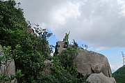 pic_Tony_Tse_007.jpg (287653 bytes)