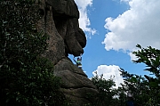 pic_Tony_Tse_009.jpg (263309 bytes)