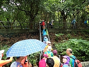 P6250002.JPG (506949 bytes)