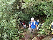 P6250011.JPG (627146 bytes)