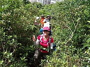 P6250016.JPG (668122 bytes)