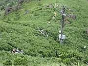 P6250037.JPG (516825 bytes)