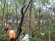 P7020011.JPG (580191 bytes)