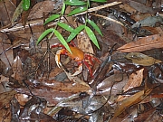 P7020019.JPG (396532 bytes)