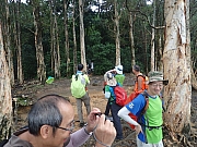 P7020058.JPG (433731 bytes)