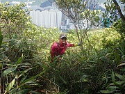 P7090011.JPG (444036 bytes)