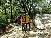 P7090041.JPG (638386 bytes)