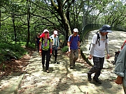 P7090042.JPG (597497 bytes)