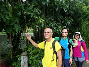 P7160006.JPG (407500 bytes)