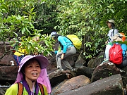 P7160043.JPG (444733 bytes)