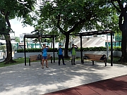 P8130005.JPG (400663 bytes)