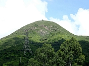 P8130010.JPG (296933 bytes)