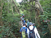 P8130016.JPG (458036 bytes)