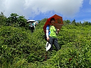 P8130017.JPG (571641 bytes)