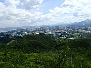 P8130020.JPG (325849 bytes)