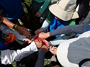 P8130032.JPG (182746 bytes)