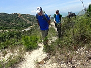 P8130060.JPG (608084 bytes)