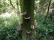 P8200025.JPG (571910 bytes)
