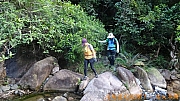 pic_Billy_Lau_054.jpg (401293 bytes)