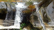 pic_Billy_Lau_074.jpg (385235 bytes)