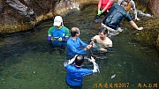 pic_Billy_Lau_114.jpg (265559 bytes)
