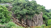 pic_Billy_Lau_124.jpg (478429 bytes)