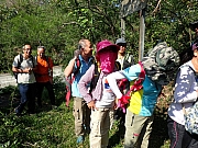 PA220006.JPG (656637 bytes)